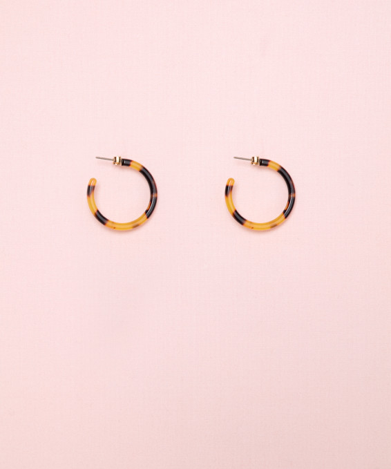 Pendientes Pequeños Carey