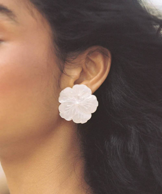 PENDIENTES DALIA
