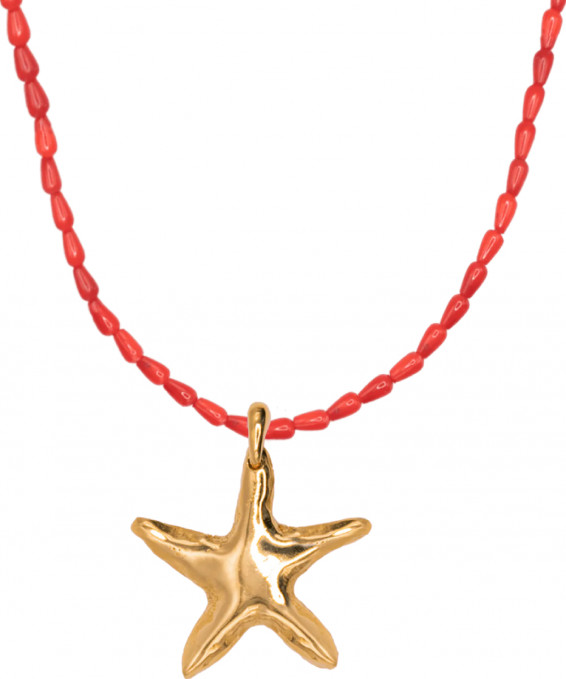 COLGANTE CHOKER