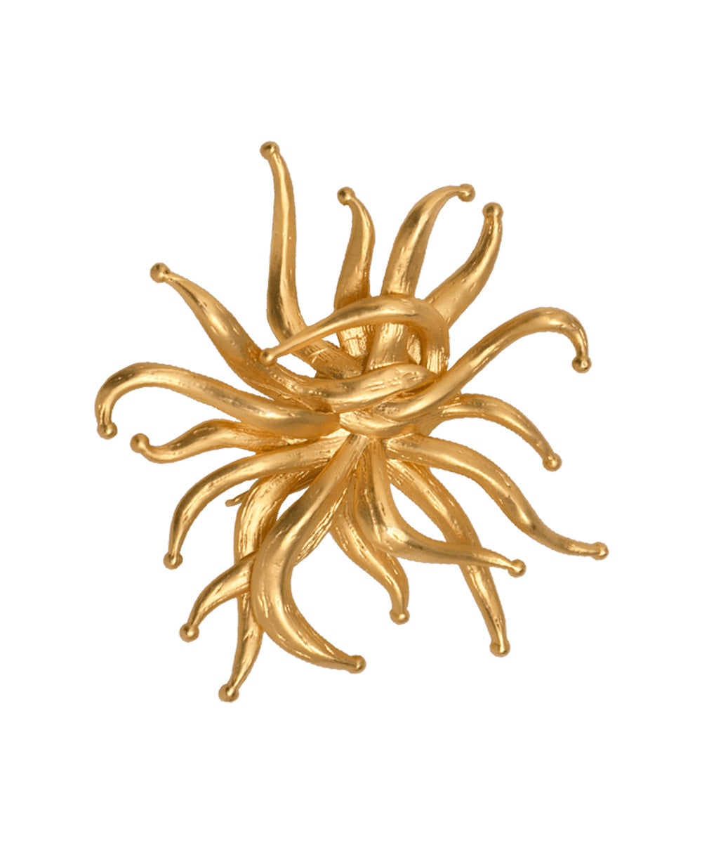 Broce Colgante Anemona