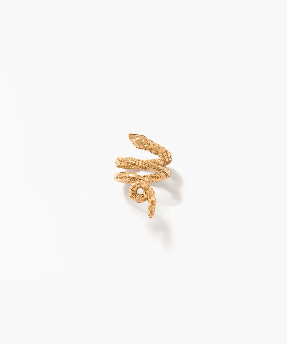 Anillo Tao